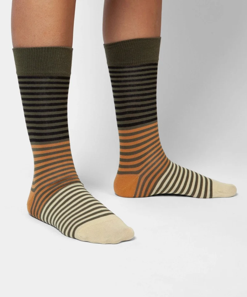 Foresty Stripes