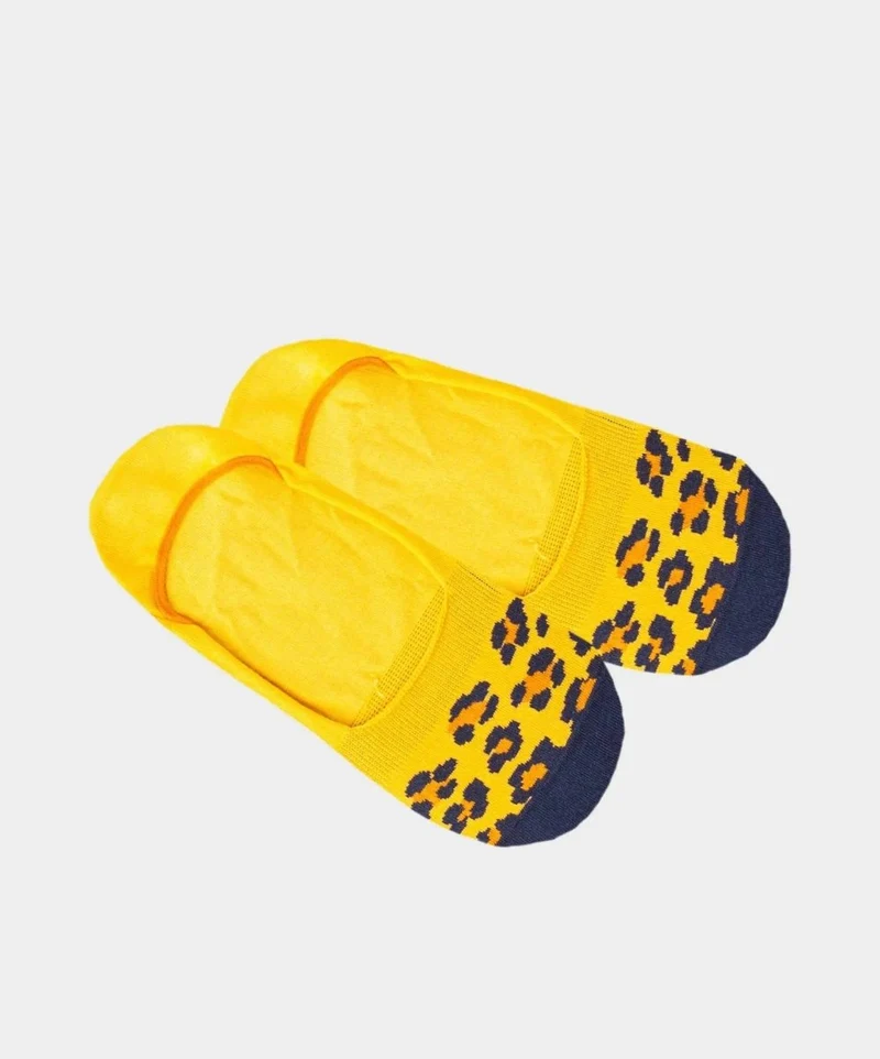 Hidden Cheetah