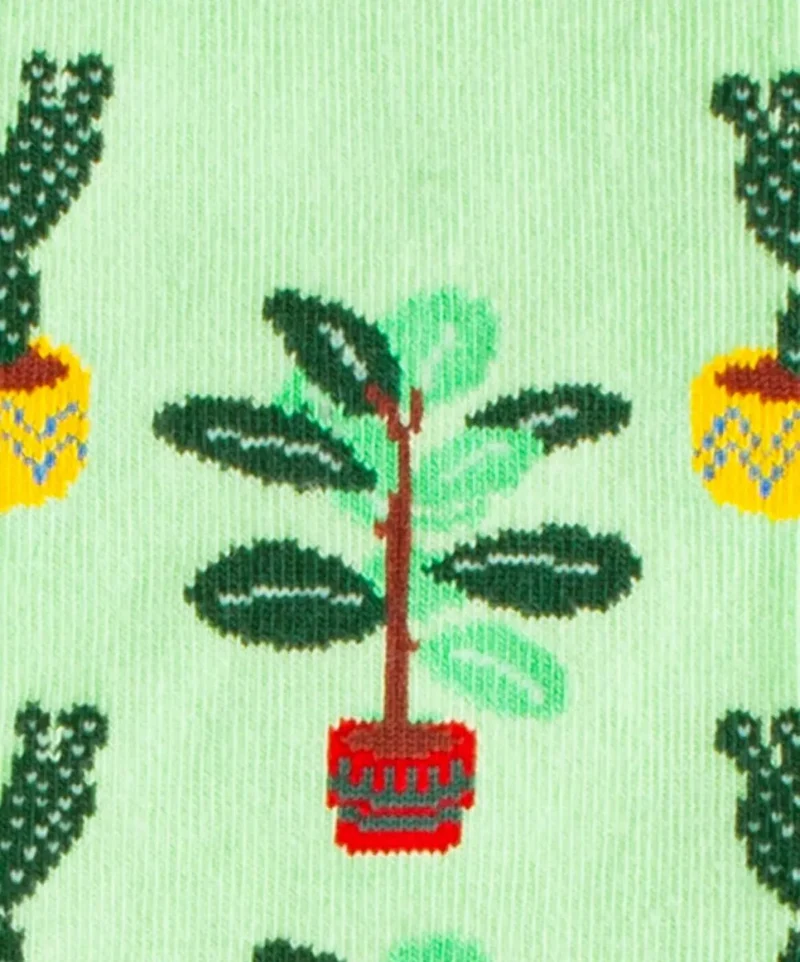 Grass Plants