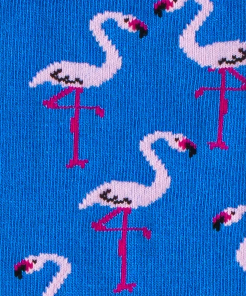Flamingo Lake