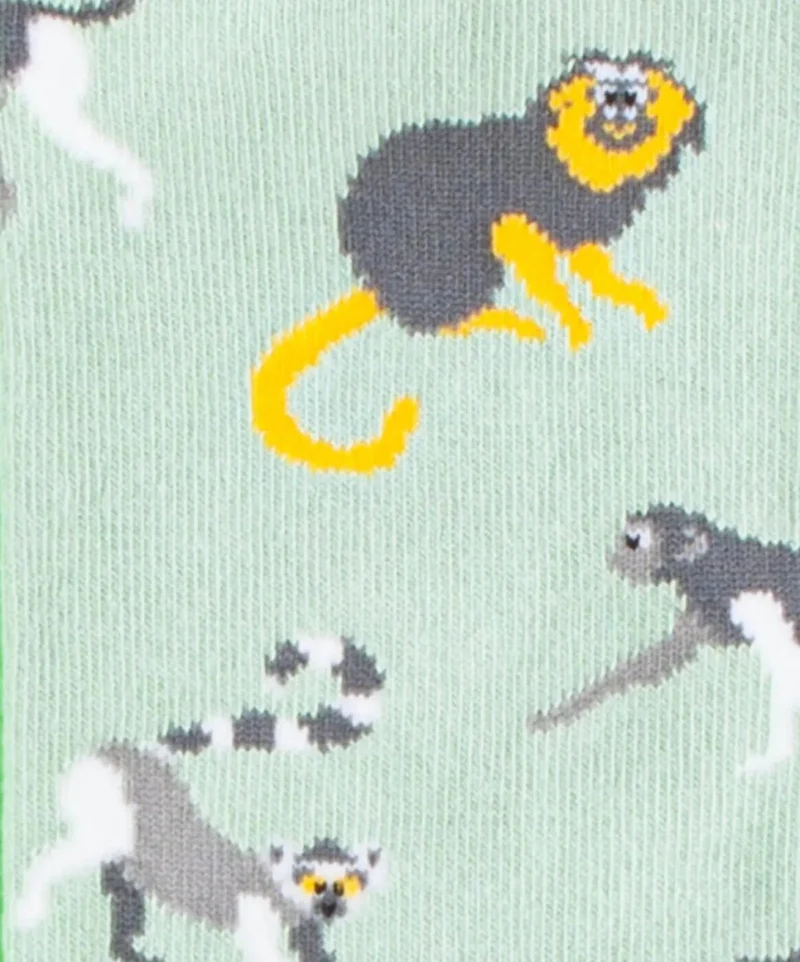 Baboon Tree