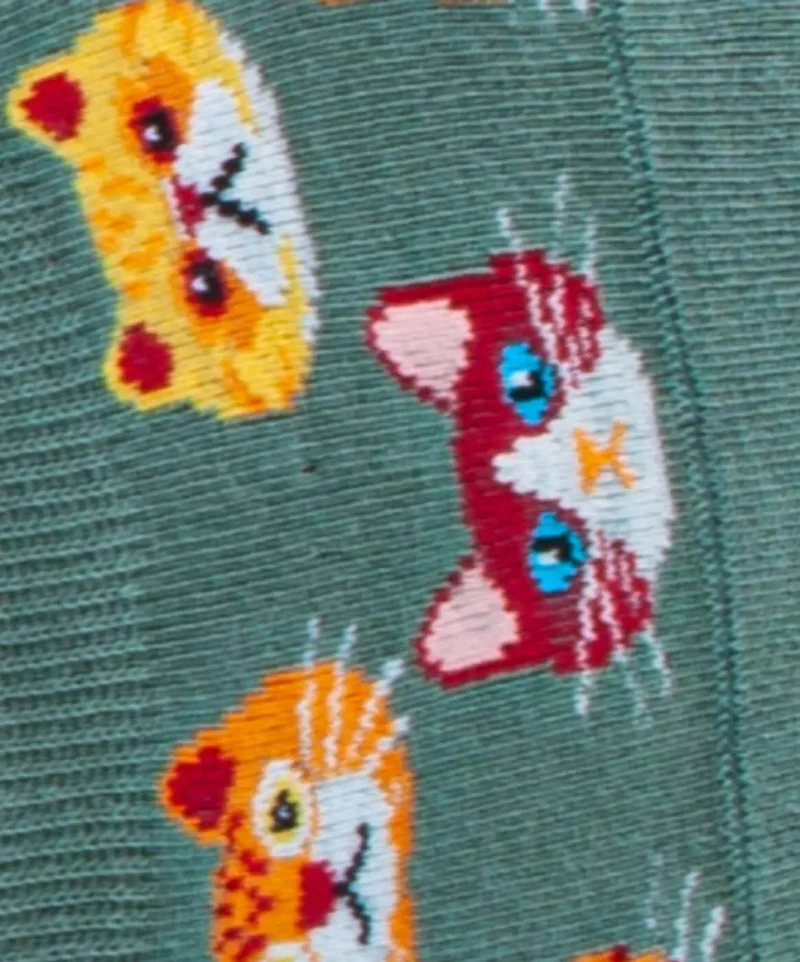 Hidden Kitten