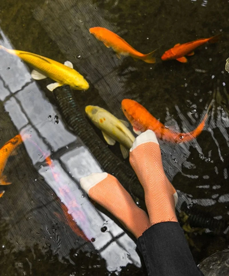 Salmon Breakfast