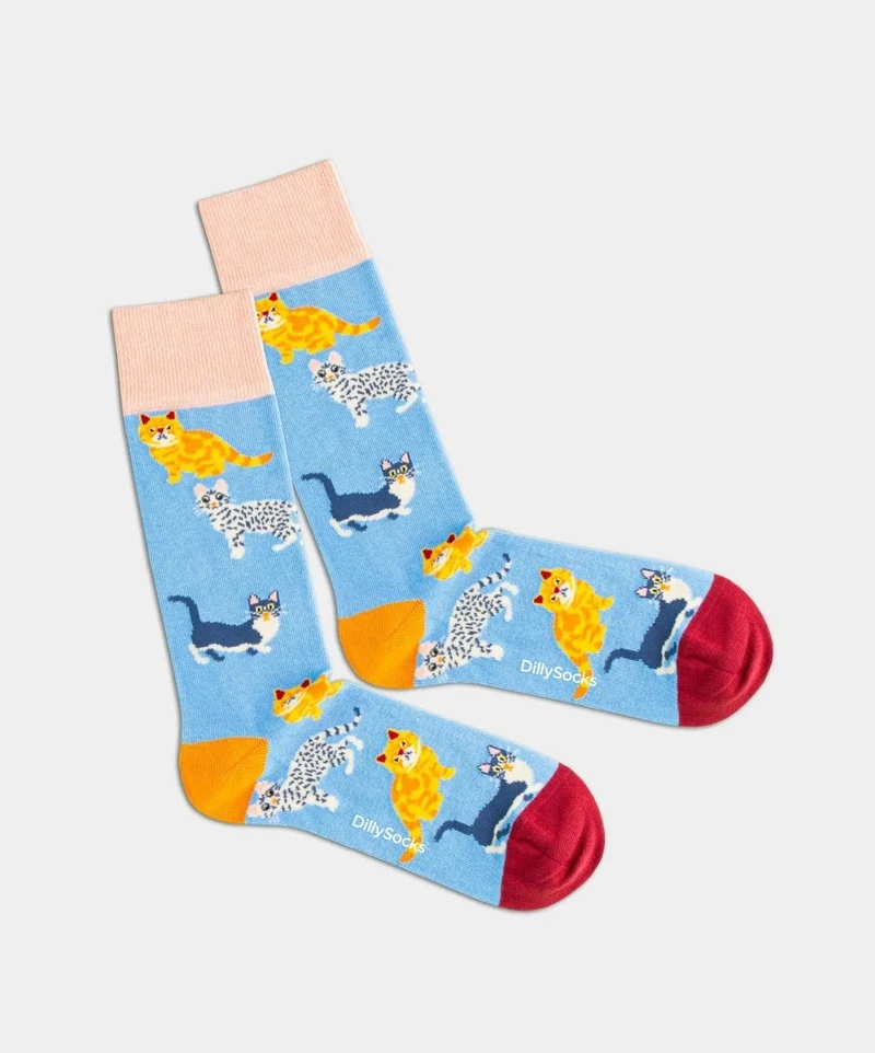 Pets Pack (3er Box)