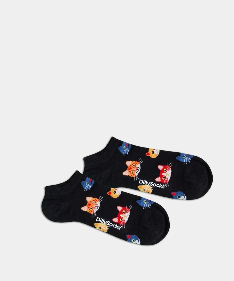 Short Night Kitten
