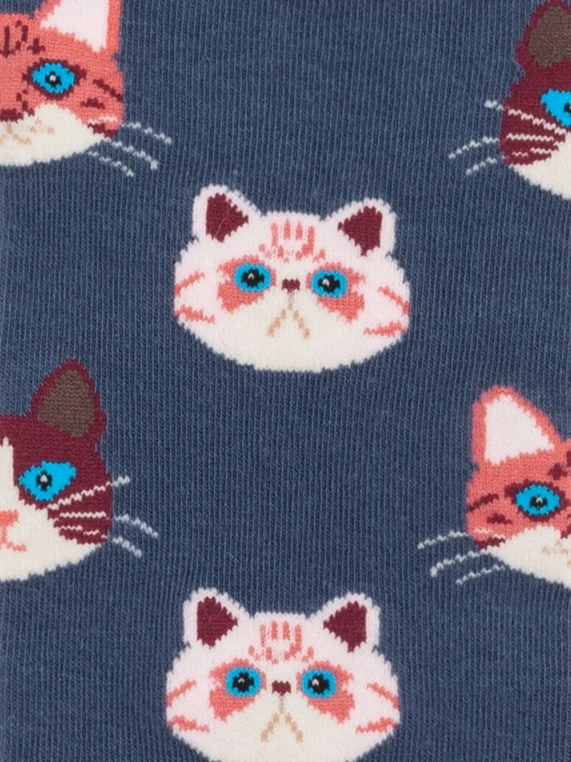 Sky Kitten