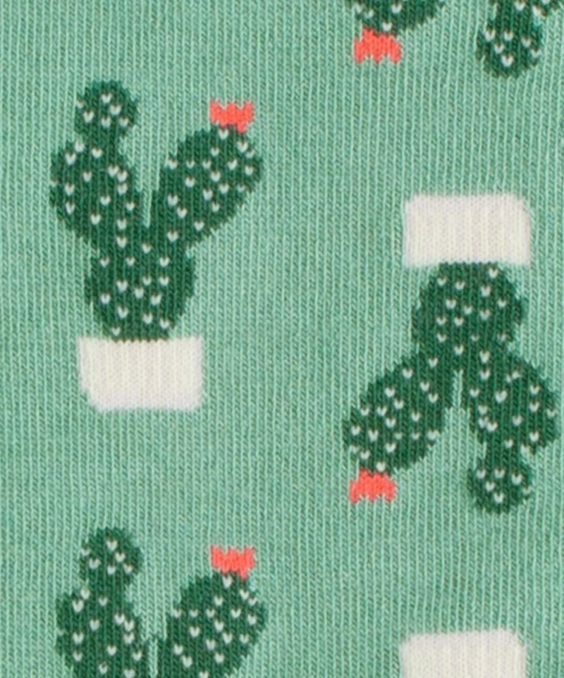 Succulent