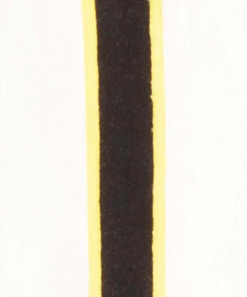 Sunny Racing Stripes