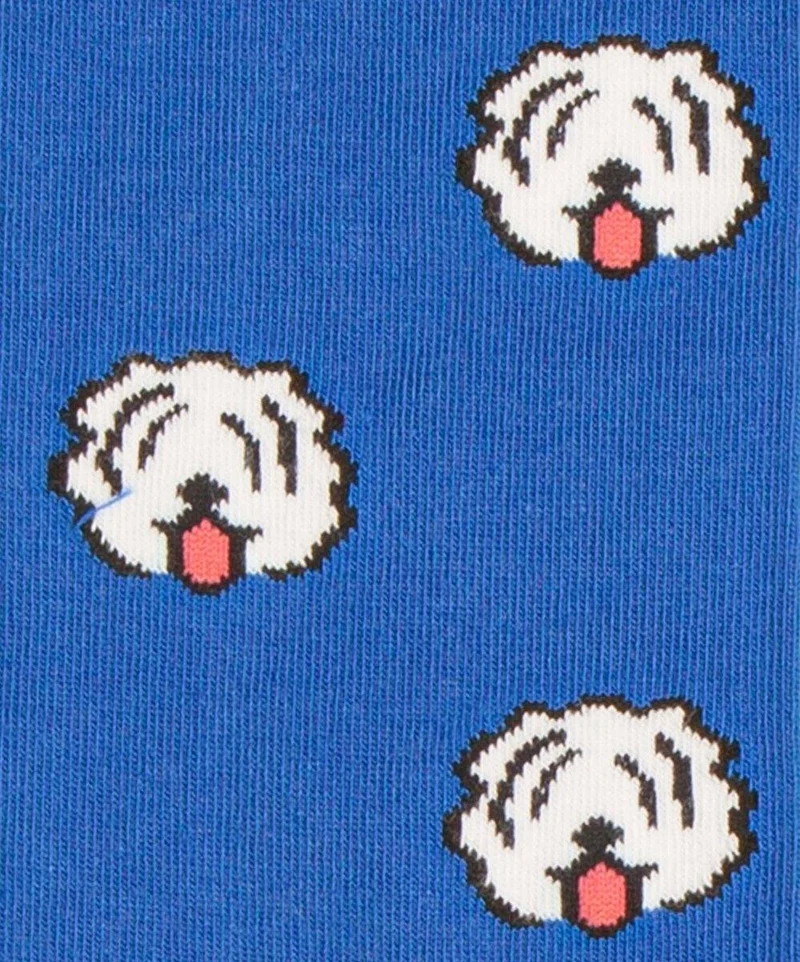 Fido
