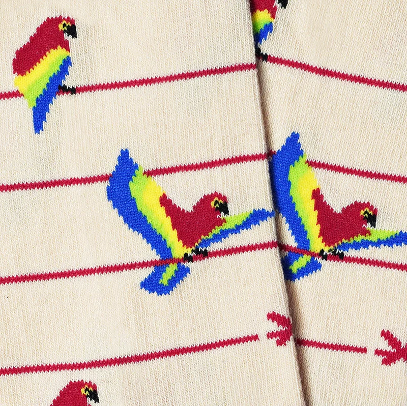 PAARVÖGEL