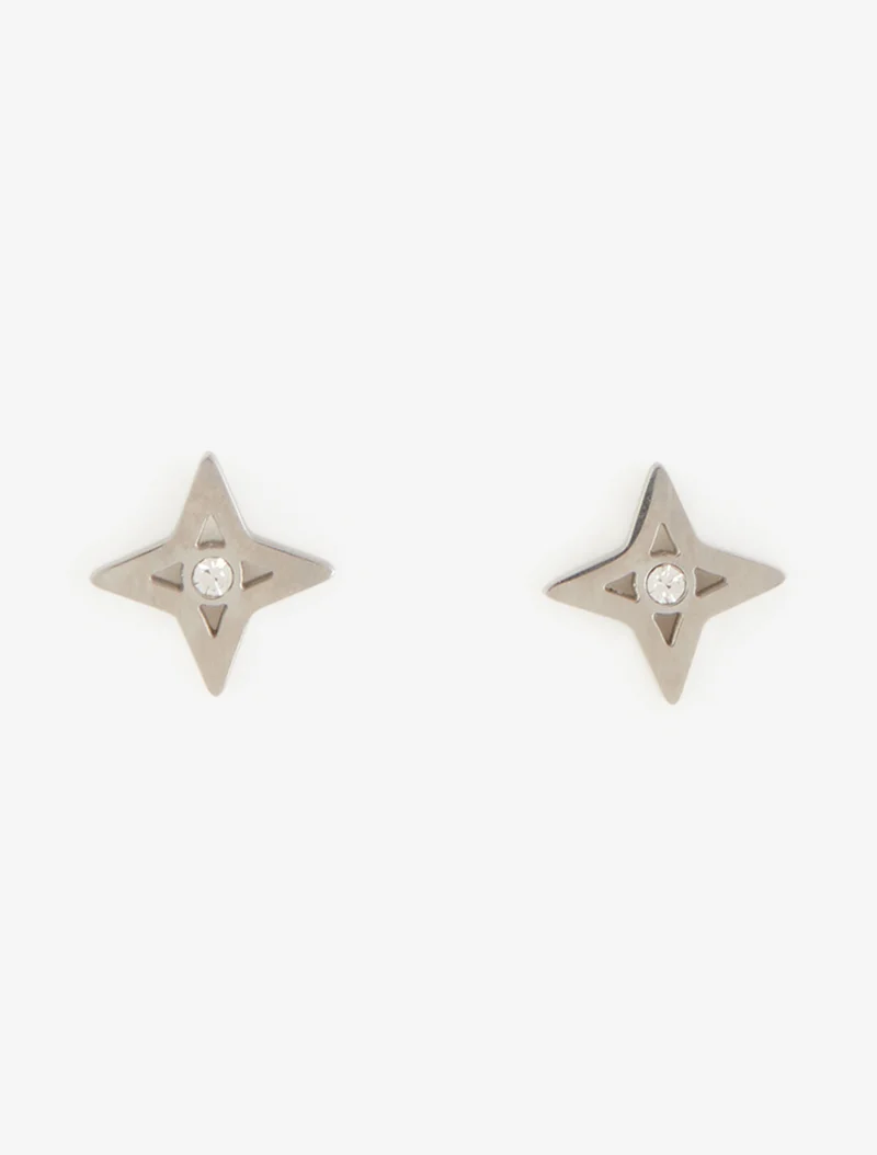 Sternen-Ohrstecker - Geld