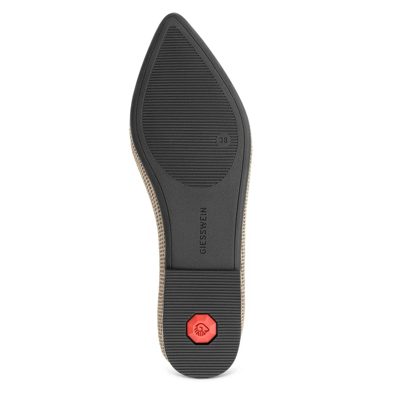 Eco Ballerinas Pointy 2.0