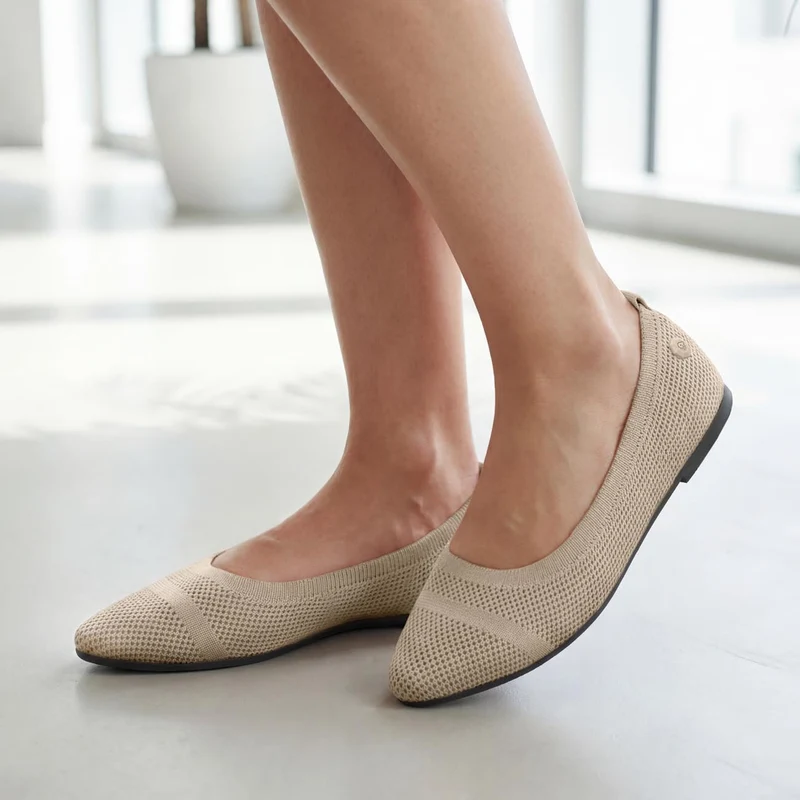 Eco Ballerinas Pointy 2.0