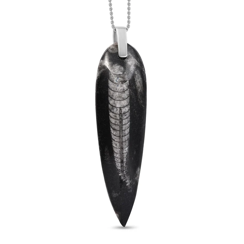 Orthoceras Schmuckset 925 Silber und Edelstahl ca. 100,00 ct.