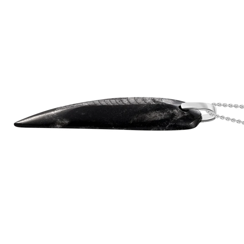 Orthoceras Schmuckset 925 Silber und Edelstahl ca. 100,00 ct.