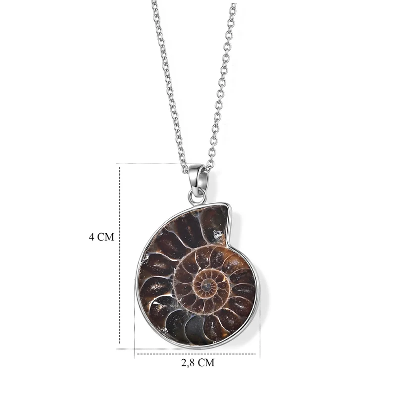 Ammonit Anhänger mit 50cm Edelstahl Kette, Messing - 22 ct.